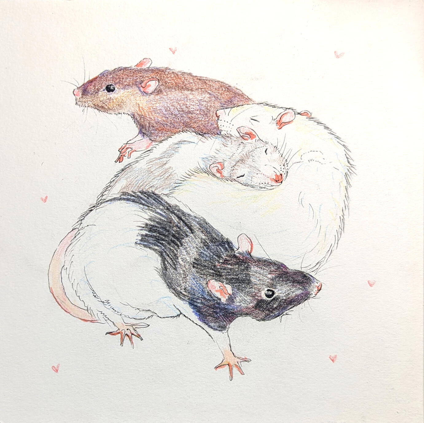 rat portrait, rat painting