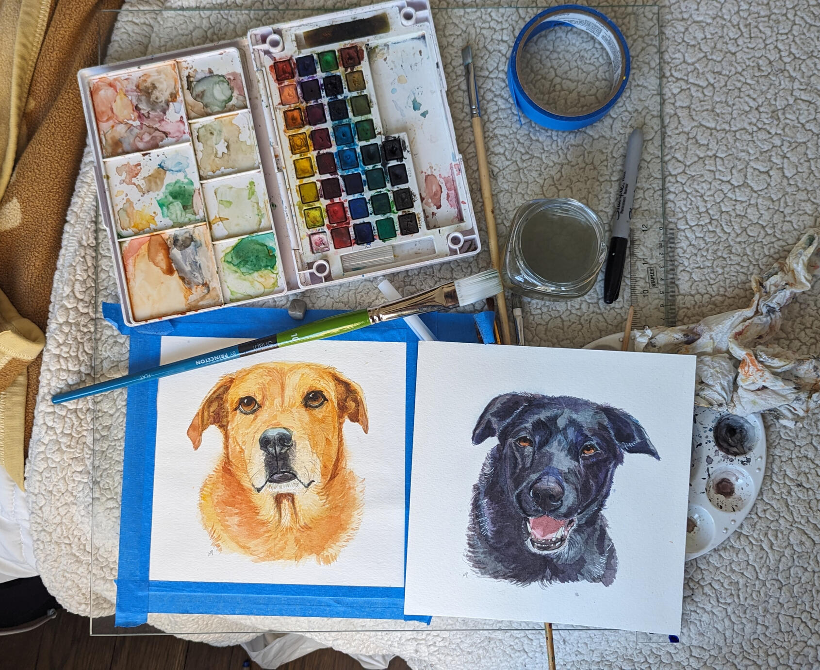 Process for Canine Trio (2/3) 2024