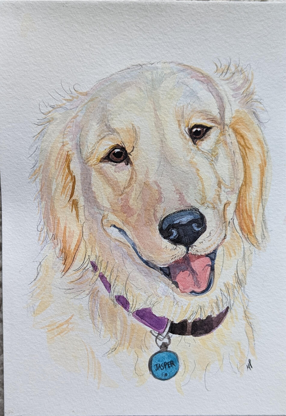 golden retriever portrait