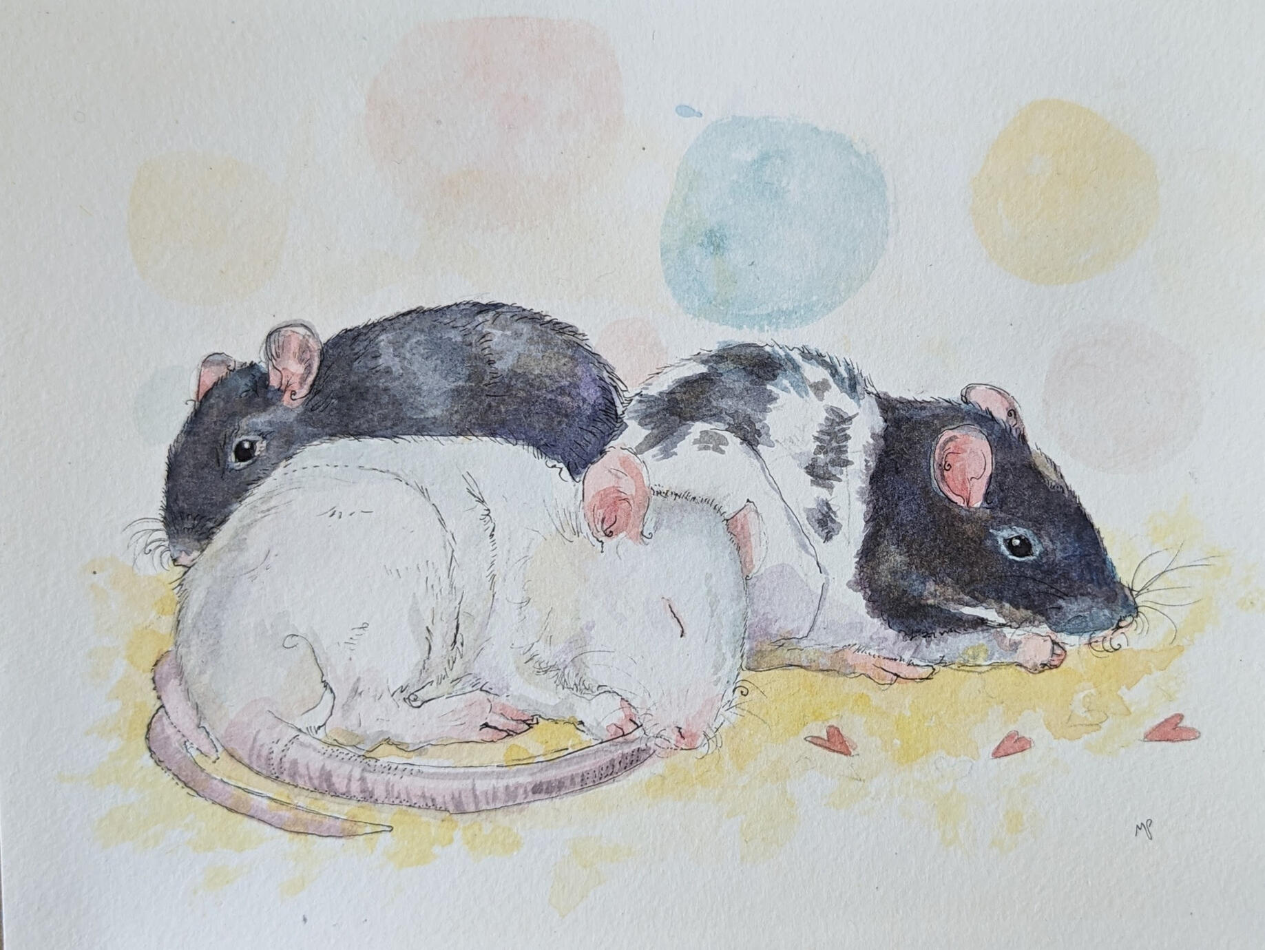 Rat Trio