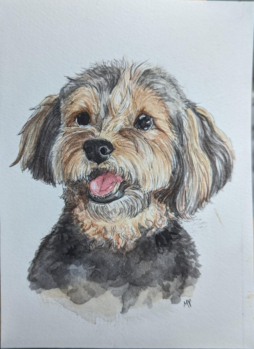 yorkie portrait