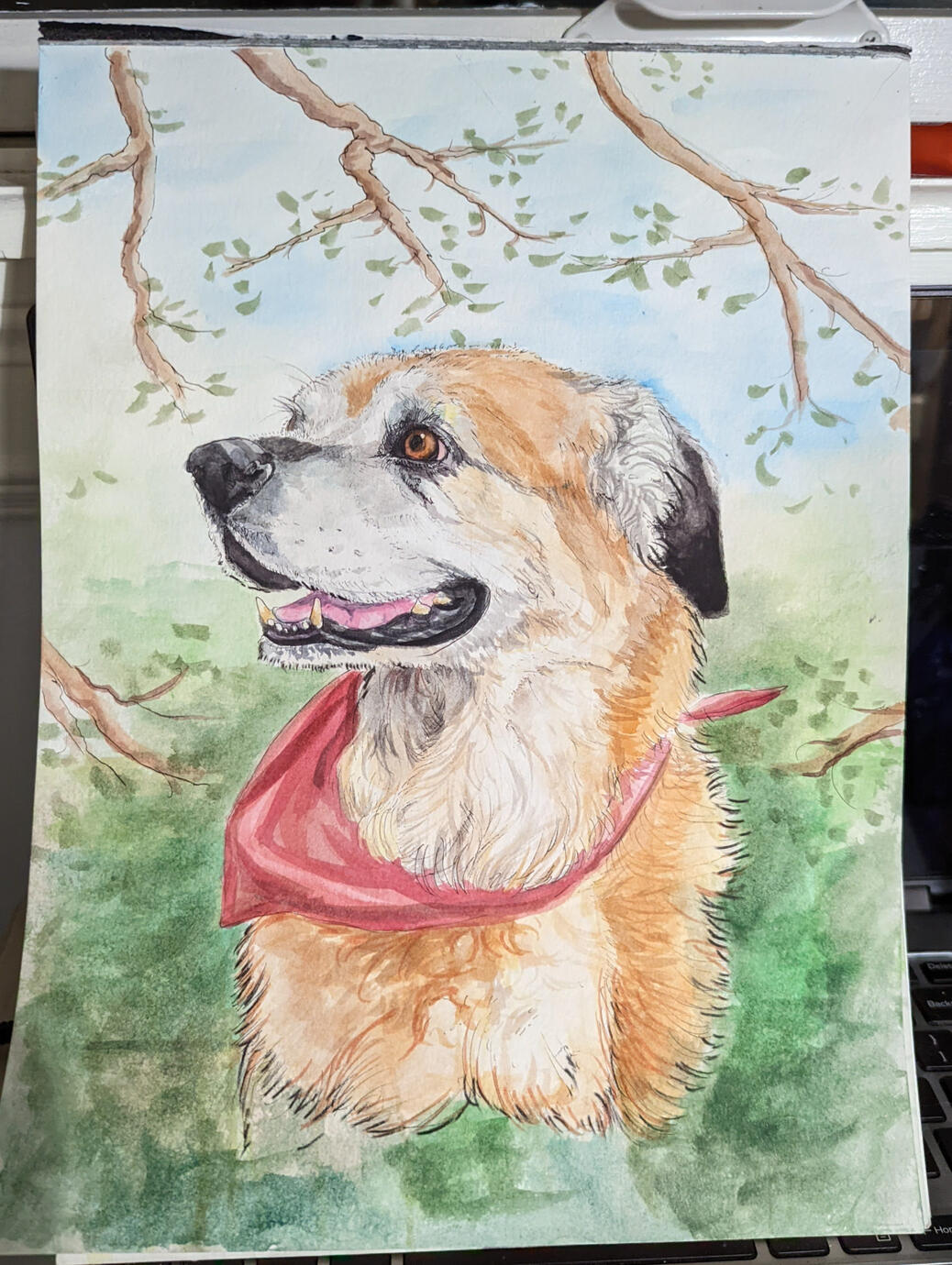 Dog portrait