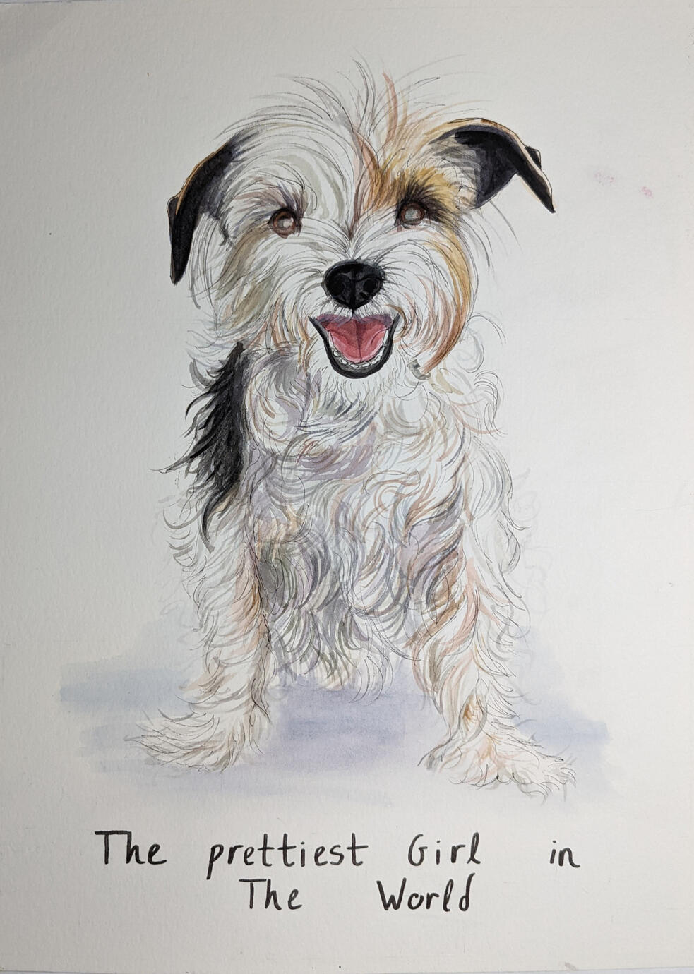 jack russel portrait