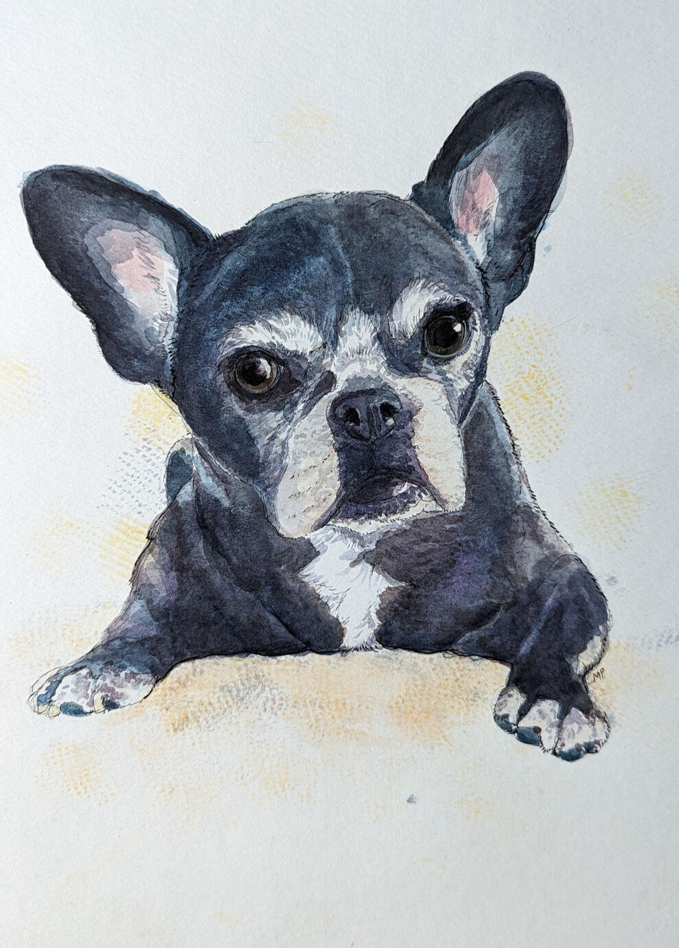 french bulldog portrait