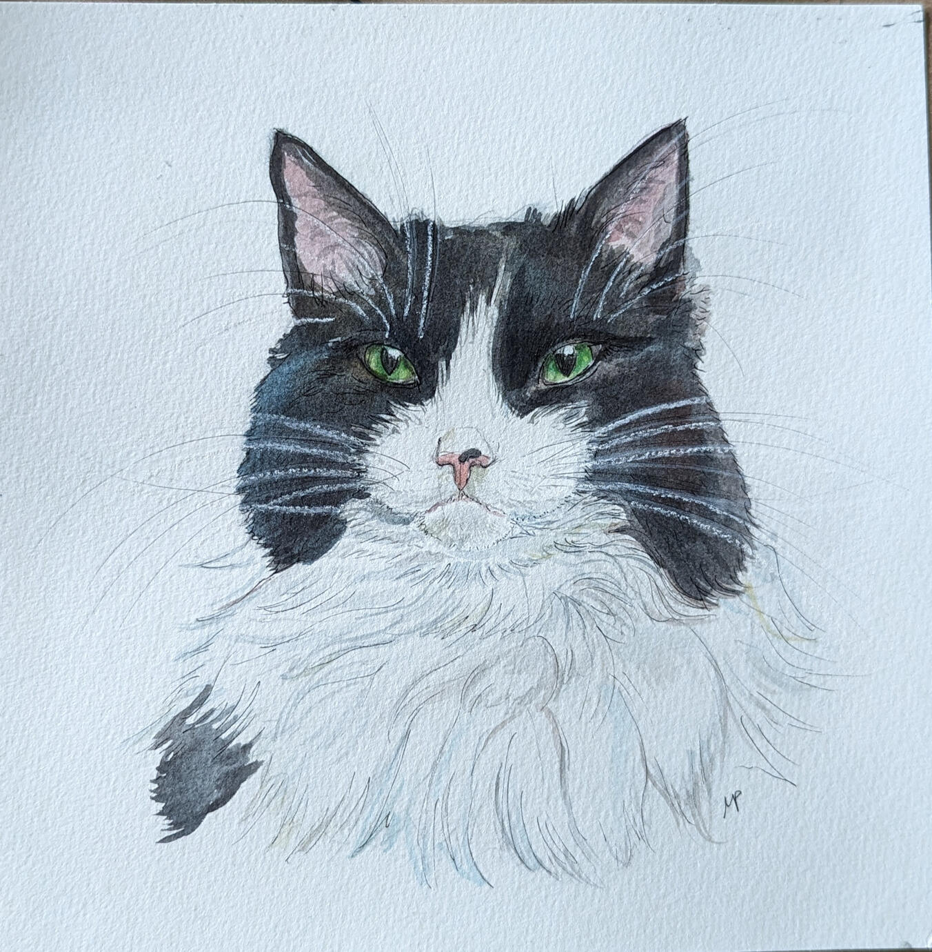 cat portrait