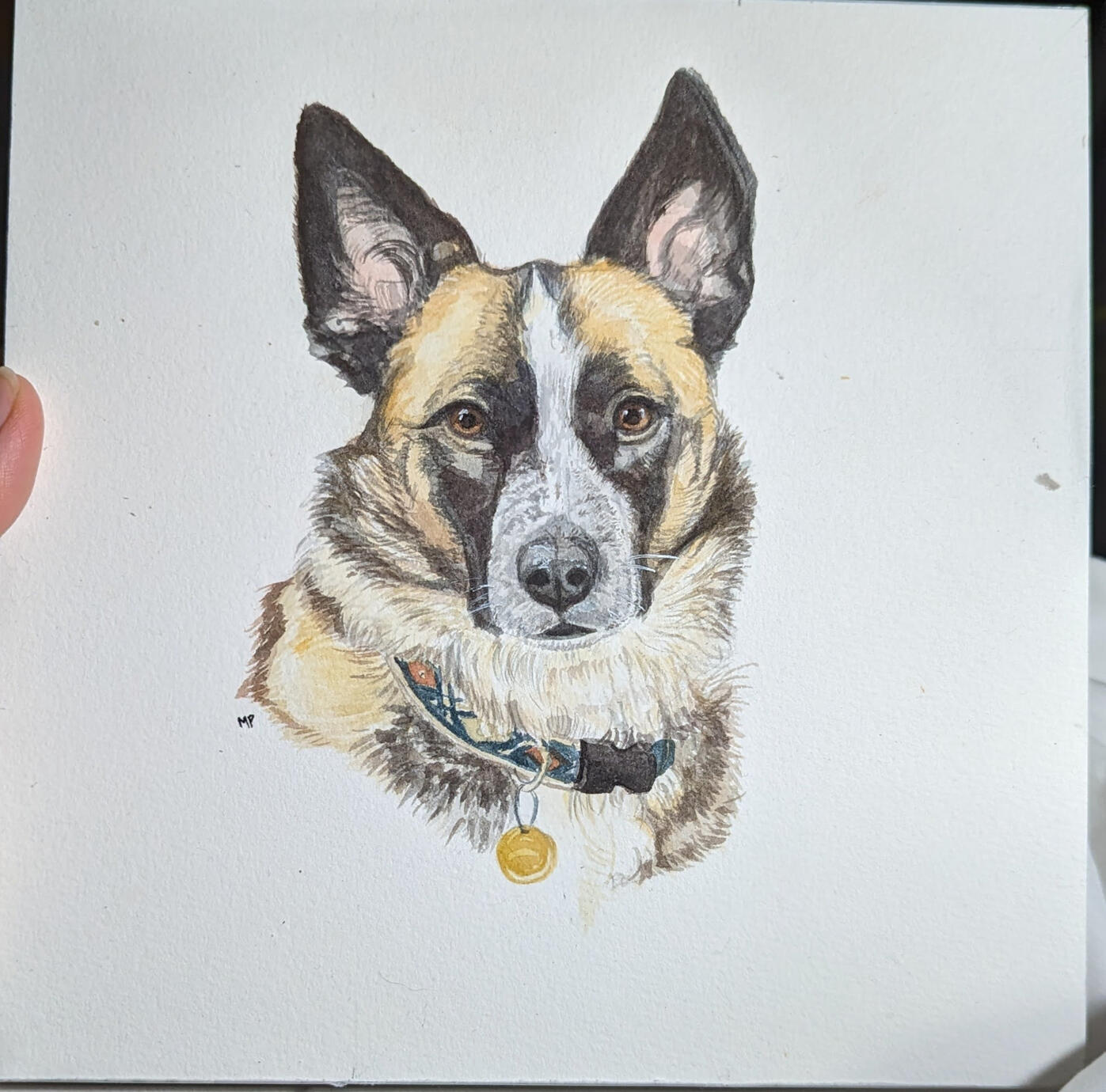 canine portrait